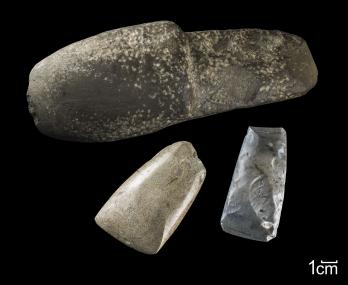 Für Laien mögen sie auf den ersten Blick wie simple Steine aussehen. Die Archäologen erkennen sofort, dass es sich hier um Beilklingen handelt, die in der Jungsteinzeit von den ersten Bauern als Werkzeuge benutzt wurden.<br>Foto: LWL/H. Menne