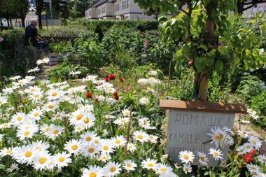 Mit dem Gertrudentag am 17. März startet die neue Gartensaison. Dann wird es auch wieder im Mehrgenerationengarten in Lippstadt bunt.<br>Foto: LWL/Hammes