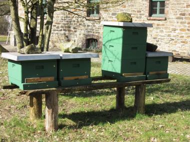 An den ersten warmen Tagen fliegen die Honigbienen aus. <br>Foto: LWL/Ehses 