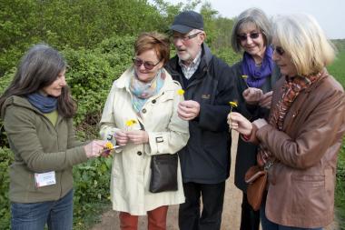 Am Löwenzahn geht kein Weg vorbei.  Birgit Ehses (l.) zeigt den Teilnehmern des Spaziergangs, was jetzt blüht.<br>Foto: LWL/Ehses