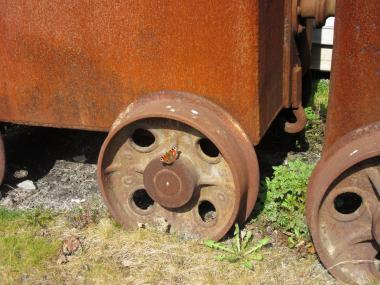 Ton in Ton mit dem Rost der Räder: Das Tagpfauenauge ist an vielen Stellen der Industriebrache zu sehen.<br>Foto: LWL/Ehses