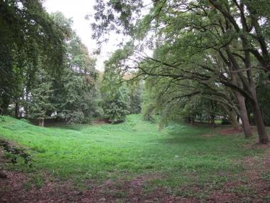 Abwechslungsreiches Parkbild im Sinne der Tripâ¿¿schen Gestaltungsidee.<br>Foto: LWL/Herden-Hubertus