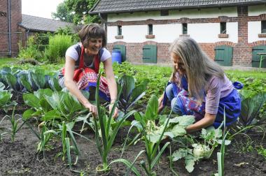 Die Ernte im Arbeitergarten hat begonnen.<br>Foto: LWL/Hudemann
