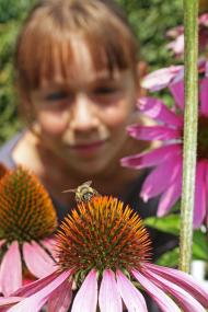 Zuhören und mitmachen: Beim "Tag der Gärten und Parks in Westfalen-Lippe" geht es im LWL-Freilichtmuseum Detmold um Bienen und Co.<br>Foto: LWL/Jähne