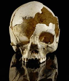 Schädel einer jungen Frau aus der Blätterhöhle bei Hagen, Datierung des Schädels: ca. 3.600 v. Chr. <br>Foto: LVR, Jürgen Vogel