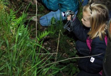 Im Licht der Taschenlampen entdecken die Safariteilnehmer die Tier- und Pflanzenwelt auf dem Gelände der Zeche Nachtigall.<br>Foto: LWL/Appelhans