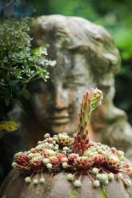 Überzeugte die Jury insgesamt: "Gartenimpressionen".<br>Foto: Winfried Rusch.
