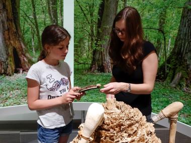 Kinder lernen im LWL-Museum für Archäologie, wie in der Jungsteinzeit Bäume gefällt wurden.<br>Foto: LWL/S. Brentführer