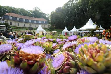 Zum Freilichtgenuss im LWL-Freilichtmuseum Detmold werden etwa 60 Aussteller erwartet. <br>Foto: LWL/Klein