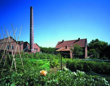 Üppiges Grün bestimmt im Hochsommer das Bild des Arbeitergartens.<br>Foto: LWL/Holtappels
