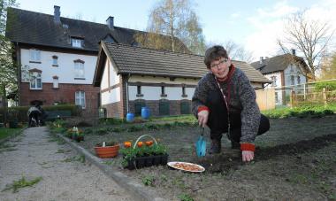 Tipps und Tricks rund um das Thema Suppengemüse erhalten die Teilnehmer im Arbeitergarten der Zeche Zollern.<br>Foto: LWL/Appelhans