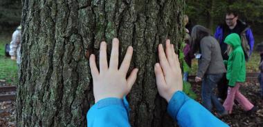 Um Bäume geht am Sonntag bei einer Führung auf Zeche Nachtigall.<br>Foto: LWL/Appelhans