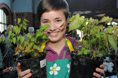 Manches grüne Schnäppchen können Besucher beim Garten- und Erntemarkt auf Zeche Zollern machen.<br>Foto: LWL/Appelhans