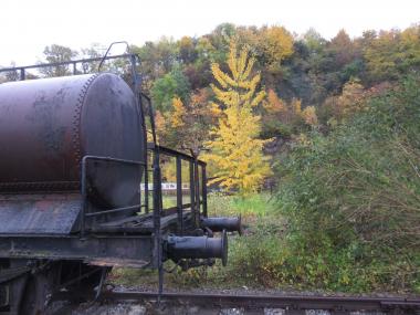 Herbstlaub bietet eine bunte Kulisse für den Naturspaziergang auf der Henrichshütte.<br>Foto: LWL/Ehses 