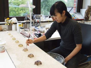 Narumi Sato stellte unter anderem eine Reihe von Erdkröten für die Sonderausstellung "Picassos Natur" her.<br>Foto: LWL/Fialla