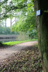 Teil des Pilgerweges kurz vor Warendorf an der Ems. <br>Foto: Steinkrüger/ LWL
