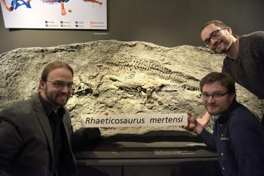 Museumsdirektor Dr. Jan Ole Kriegs (li.), LWL-Paläontologe Dr. Achim H. Schwermann (re. u.) und Präparator Naem Ali legen gemeinsam das neue Schild mit dem wissenschaftlichen Namen Rhaeticosaurus mertensi in die Vitrine.<br>Foto: LWL/Fialla