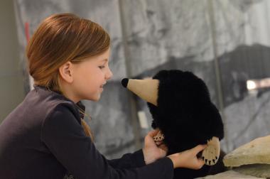 Mit Museumsmaulwurf Kalle zurück in die letzte Eiszeit geht es beim Familiensonntag im LWL-Museum für Archäologie.<br>Foto: W. Quickels