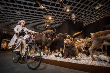 Beate Reker geht mit einem neuen literarischen Rundgang auf Spurensuche in Westfalens Tierwelt.<br>Foto: LWL/Steinweg