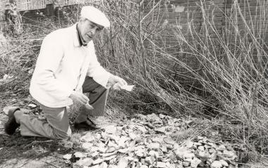 Paul Blazynski und der Hertener Feuersteinhaufen_Foto Hertener Allgemeine-Peter Rudolph: Der Finder Paul Blazynski mit der vermeintlichen archäologischen "Sensation", dokumentiert 1980 von der Hertener Zeitung. <br>Foto: Hertener Allgemeine/Peter Rudolph