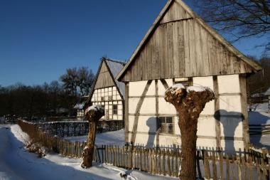 Die Kopfweiden im LWL-Freilichtmuseum Detmold bekommen bei einem Workshop einen Schnitt.<br>Foto: LWL/Jähne