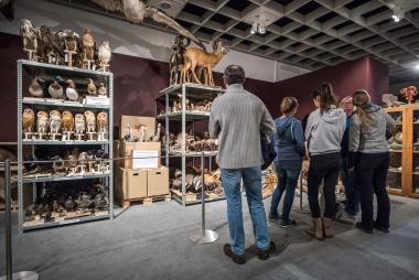 Eintritt frei im LWL-Museum für Naturkunde. Da lohnt ein Besuch der neuen Sonderschau "Aus dem Dunkel ins Licht".<br>Foto: LWL/Steinweg