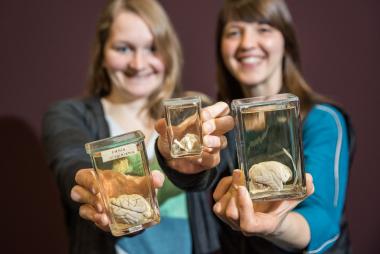 Die beiden Ausstellungsmacherinnen Nicola Holm (li.) und Dr. Julia Massier präsentieren einige Objekte aus der Edinger-Sammlung.<br>Foto: LWL/Steinweg
