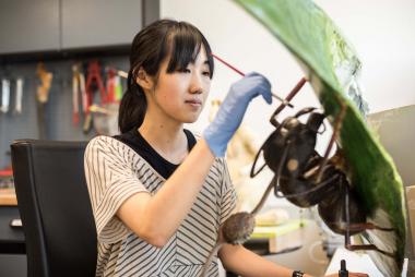 Präparatorin Narumi Sato legt letzte Hand an ihr Modell einer vom Pilz befallenen Ameise an.<br>Foto: LWL/Steinweg