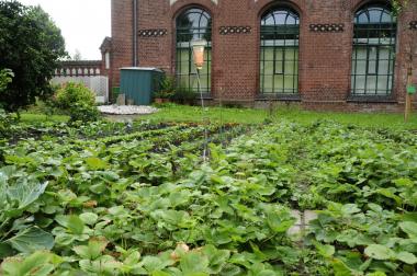 Im Arbeitergarten der Zeche Zollern grünt es wieder.<br>Foto: LWL/Hudemann