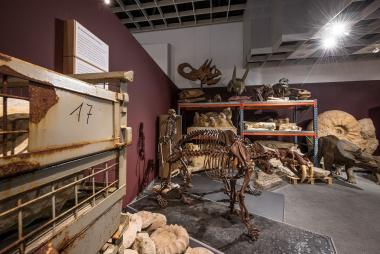 Noch bis zum Sonntag, 13. Mai, ist die Sonderschau "Aus dem Dunkel ins Licht" im LWL-Museum für Naturkunde zu sehen.<br>Foto: LWL/Steinweg