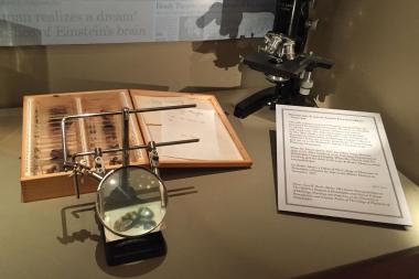 Zwei Schnitte von Einsteins Gehirn werden ab dem 29. Juni im LWL-Museum für Naturkunde zu sehen sein.<br>Foto: Mütter Museum <br>Two slides of Albert Einsteins brain will be exhibited from 29 June 2018 in the LWL-Museum of Natural History in Münster.<br>Copyright: Mütter Museum