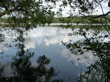Heiliges Meer in Recke<br>Foto: Ulrike Steinkrüger