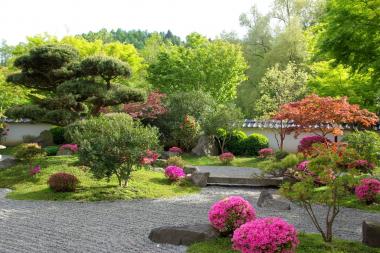 Blühende Azaleen im Japanischen Garten der Deutsch-Japanische Gesellschaft Bielefeld e.V.<br>Foto: LWL/ Neuert