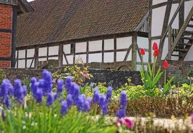 Am "Tag der Gärten und Parks" im LWL-Freilichtmuseum Detmold stehen die verschiedenen Gärten des Museums im Mittelpunkt.<br>Foto: LWL/Jähne
