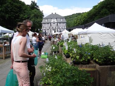 Die Aussteller zeigen viele Dinge, mit denen sich Garten und Balkon vielfältig gestalten lassen.<br>Foto: LWL