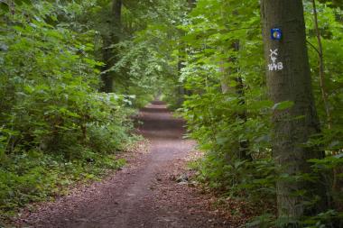 Westfälischer-Friede-Weg<br>Foto: Altertumskommission für Westfalen, Ulrike Steinkrüger