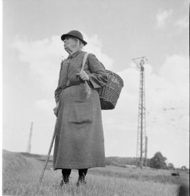 Die "Blumenfrauen vom Viktualienmarkt" stehen in der neuen Kabinettausstellung im LWL-Freilichtmuseum Detmold im Mittelpunkt.<br>Foto: LWL