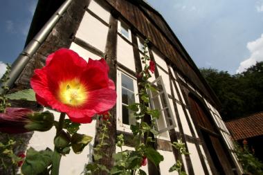 Um die Besonderheiten beim Fachwerkbau geht es in einer Führung durch das LWL-Freilichtmuseum Detmold am eintrittsfreien Freitag.<br>Foto: LWL/Jähne