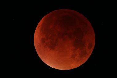 Zusammen mit Experten des Planetariums können Interessierte bei gutem Wetter die Mondfinsternis auf den Aasee-Wiesen beobachten.<br>Foto: Michael Dütting