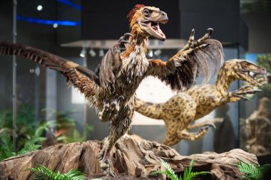 Die Dinosaurier sind zurück im LWL-Museum für Naturkunde und wurden unterstützt mit Projekten von Studierenden des Fachbereichs Design.<br>Foto: LWL/Steinweg 