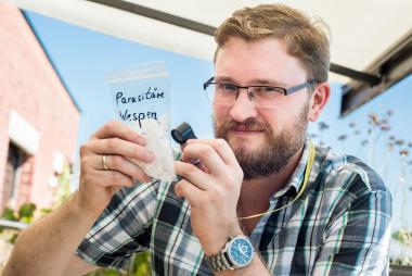 Paläontologe Dr. Achim Schwermann aus dem LWL-Museum für Naturkunde hält einige der winzigen Fliegenpuppen in der Hand, welche das Forscherteam untersucht hat.<br>Foto: LWL/Steinweg