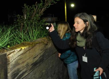 Bei der nächtlichen Erkundung des Museumsgeländes gibt es bei genauer Betrachtung Spannendes zu entdecken.<br>Foto: LWL/Appelhans