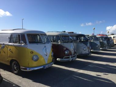 Etwa 50 kultige VW-Busse werden am 29. September auf dem Gelände des Ziegeleimuseums erwartet.<br>Foto: Christian Klassen  
