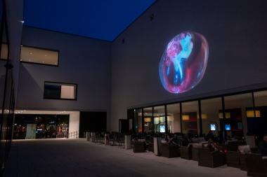 Videokunst von Pipilotti Rist im Patio des LWL-Museums für Kunst und Kultur.<br>Foto: LWL/Meike Reiners