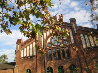 Ein Spaziergang in die herbstliche Natur startet Samstag um 15 Uhr im Foyer der Zeche Zollern.<br>Foto: LWL/Ehses