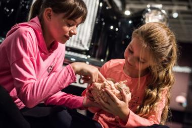 Beim Familientag im LWL-Museum für Naturkunde erfahren Kinder viel über unser komplexestes Organ: Das Gehirn.<br>Foto: LWL/Steinweg