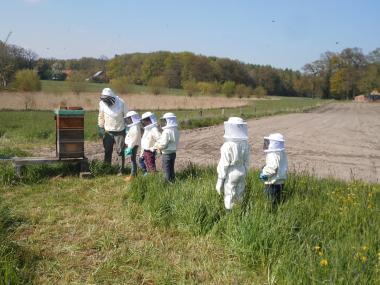 Schüler der Bockhorster Grundschule betreuen ihren eigenen Bienenstock.<br> Foto: Henning Rattenholl/ Heimatverein Bockhorst