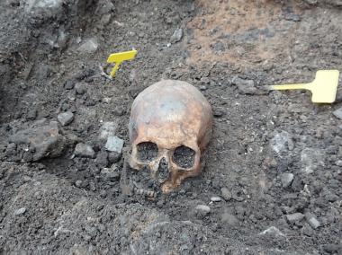 Dieser Schädel gehört zu einem Skelett, das in einem hölzernen Sarg bestattet war.<br>Foto: LWL/S. Coesfeld