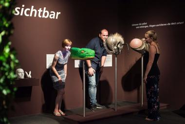 Bei den Aktionen zur Brain Week im LWL-Museum für Naturkunde erfahren Kinder viel über das Gehirn und die verschiedenen Sinne. Beispielsweise auch, wie sich der Sehsinn von Insekten vom menschlichen Sehen unterscheidet.<br>Foto: LWL/Steinweg