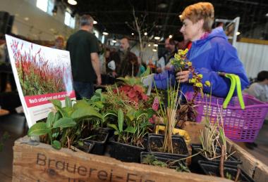 Noch kahle Beete und Kübel? Ende April findet auf Zollern wieder der Gartenkungelmarkt statt.<br>Foto: LWL/Appelhans